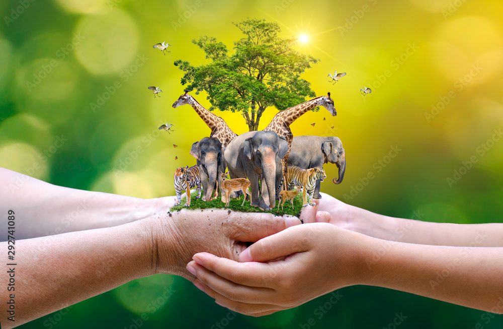 https://1ngo.sgp1.digitaloceanspaces.com/media/sripandavas/Save animals.jpg